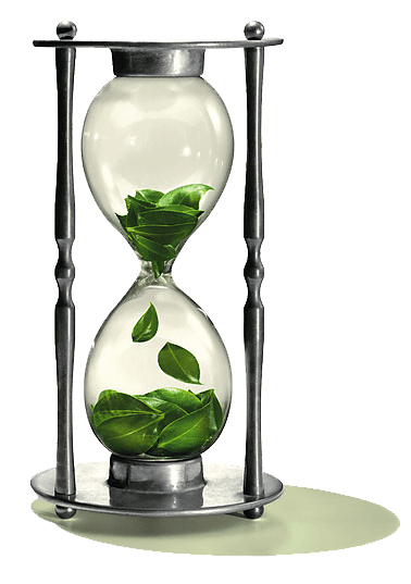 reloj-arena